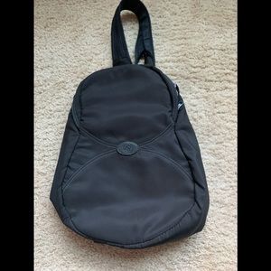 Pacsafe daypack